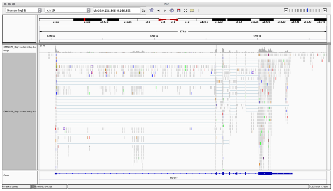data alignment vis