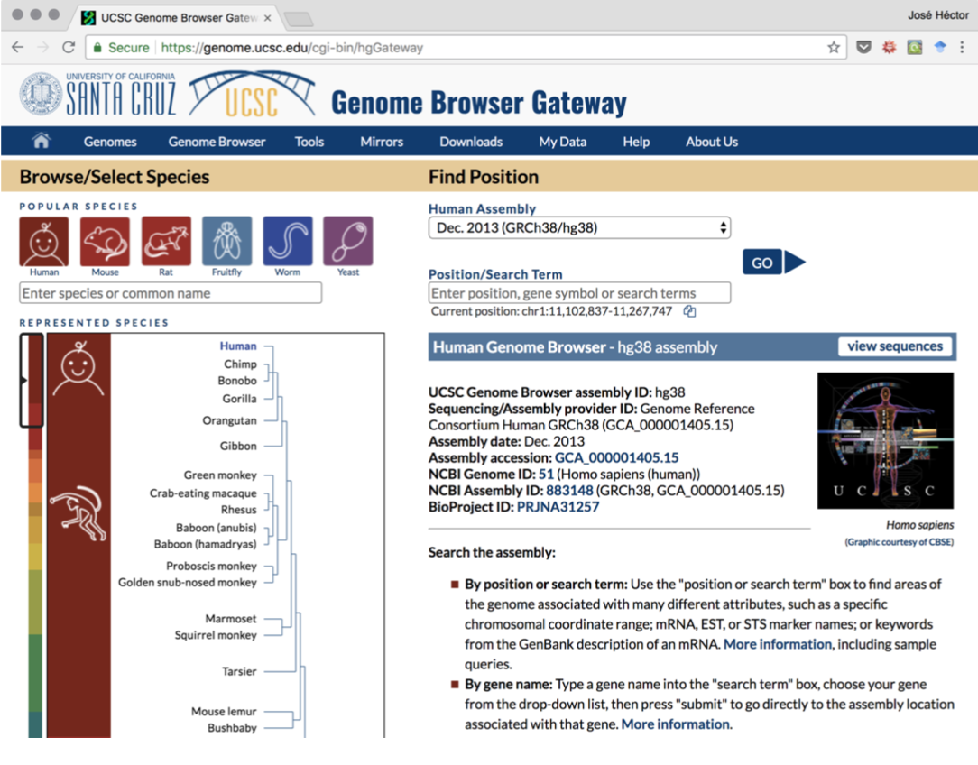 gnome-browser