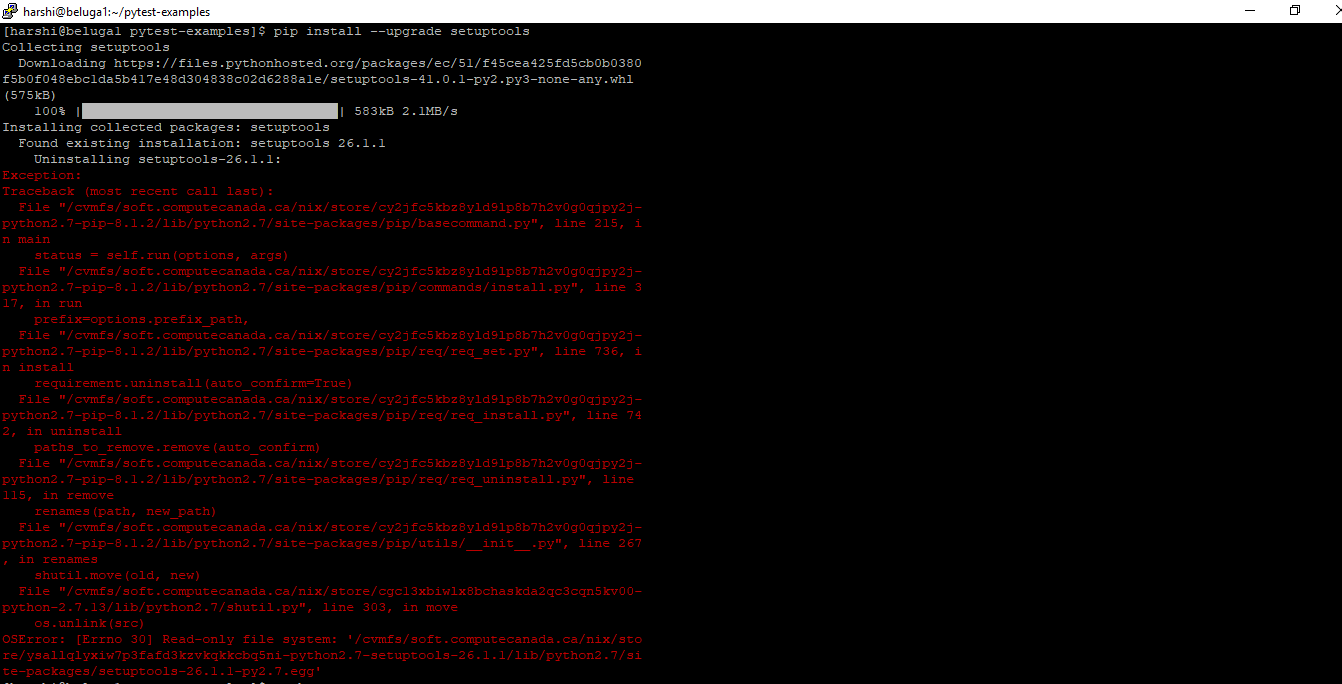 ../_images/pytest-err2.png